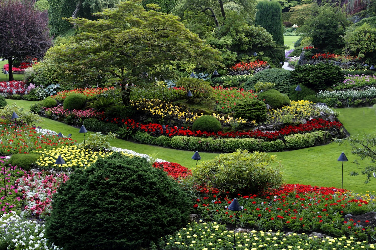 Layered garden beds with ornamental grasses and flowering perennials